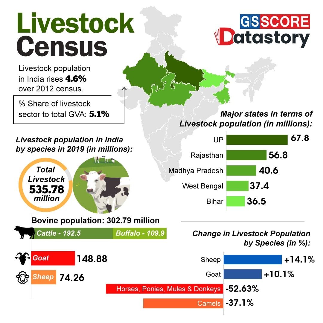 Strengthening rural economies through financing the livestock sector in